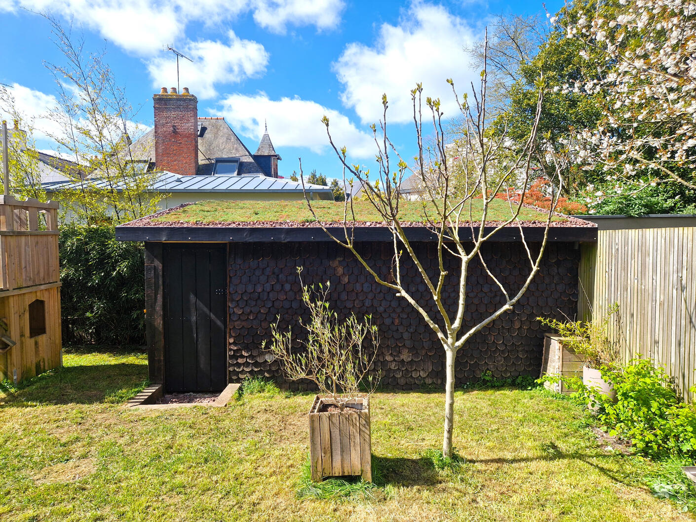 Ça pousse sur le toit